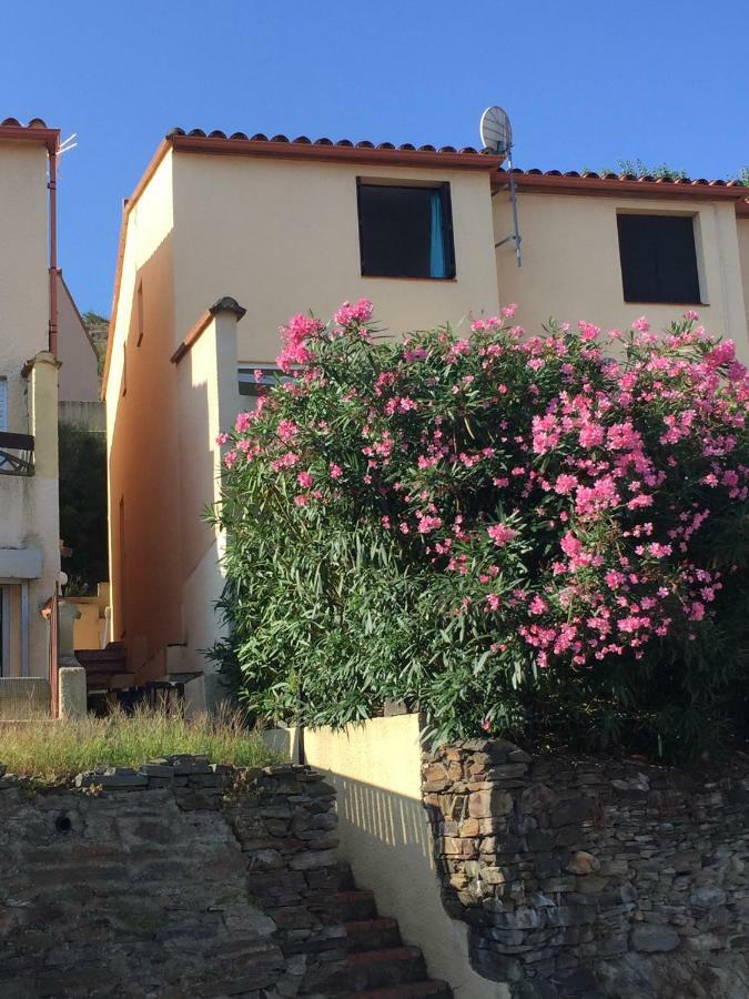 Villa 41 Les Imperiales Collioure Esterno foto